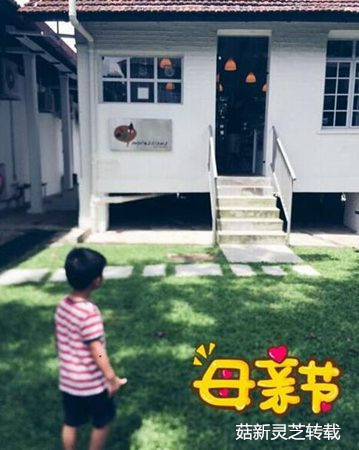 孫燕姿罕見曬老公秀恩愛 菇新靈芝孢子粉 孫燕姿罕見曬老公秀恩愛 菇新靈芝孢子粉