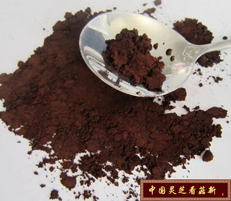 破壁靈芝孢子粉的功效與作用有哪些應(yīng)用