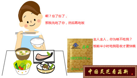 靈芝孢子粉要餐前空腹吃